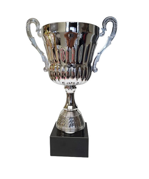 Nova Silver Trophy Cup image 0