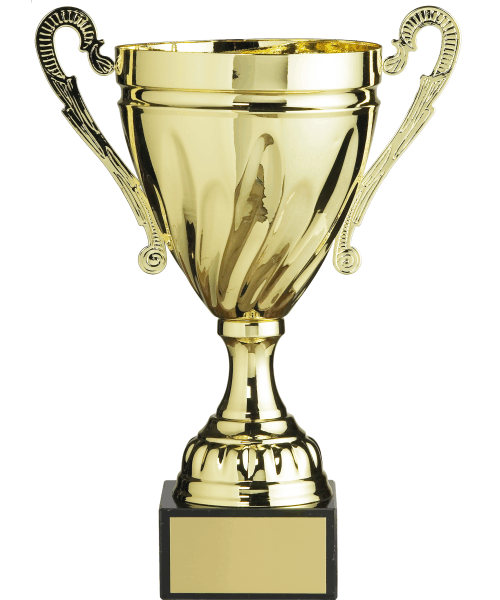 Gold Metal Cup image 0