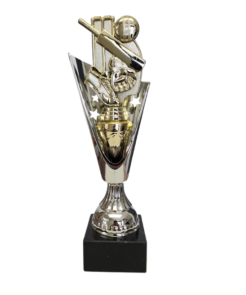 Silhouette Star Trophy image 0