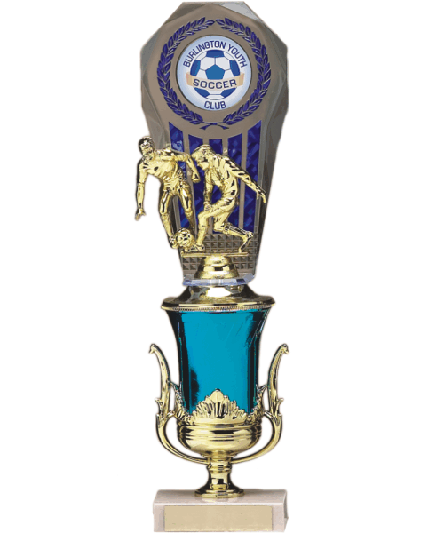 Fan Back and Cup image 0