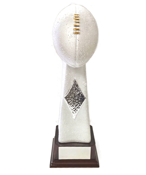Frosted Silver Football image 0