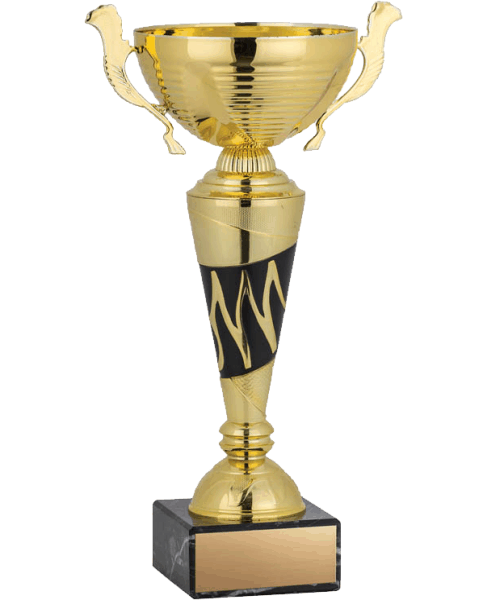 Economy Gold Cup image 0
