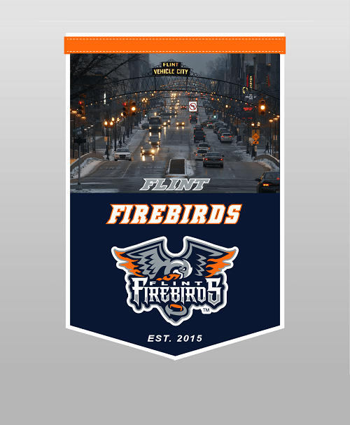 Custom Home Plate Pennant (10x15") image 0