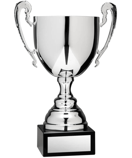 Classic Large Silver Cup image 0