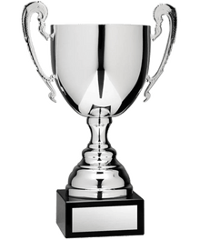 Classic Large Silver Cup image 0