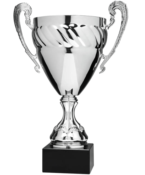 EC5151G, Economy Cup (Gold or Silver) - Silver 12.25" image