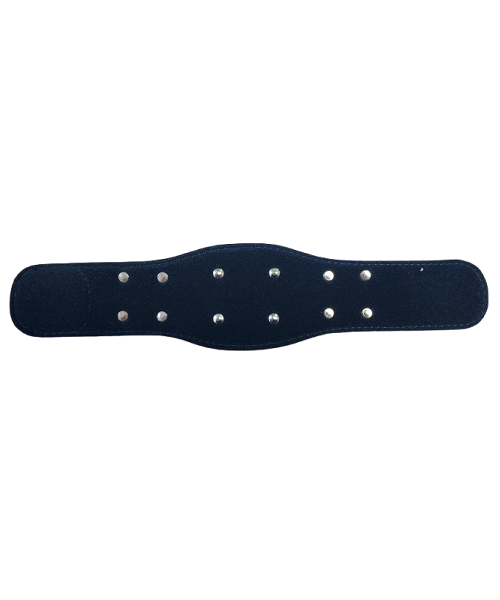 Royal Championship WRIST Band image 1