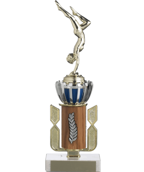 Silver and Blue Crown image 0