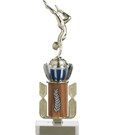 Silver and Blue Crown image 0