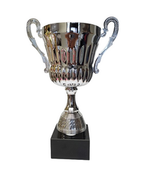Nova Silver Trophy Cup image 0