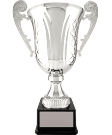 XL Cup image 1