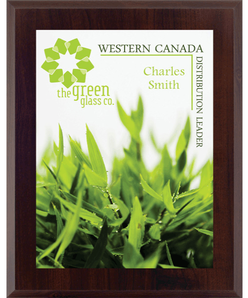 Sublimated Plaques (full colour) image 1