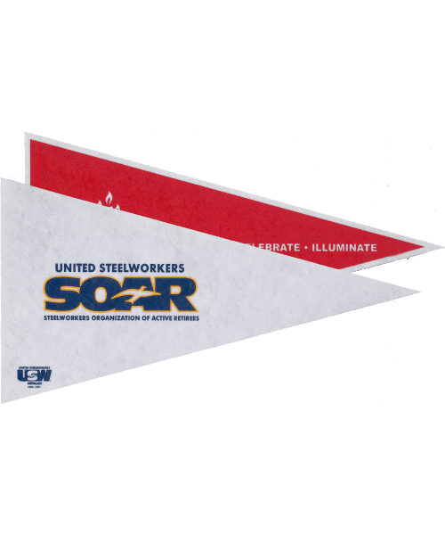 205-12, Pennants - 8x16" image