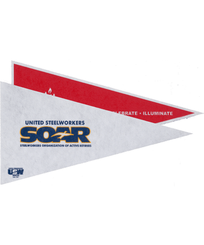 205-12, Pennants - 8x16" image