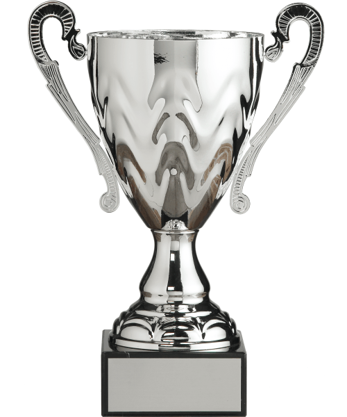 Silver Metal Cup image 0