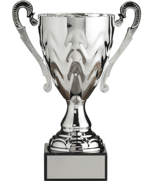 Silver Metal Cup image 0