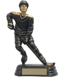 RF00645HG, Aztec Hockey image 0