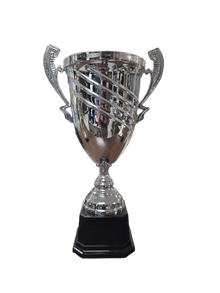 Stadium Trophy Cup 19.75"