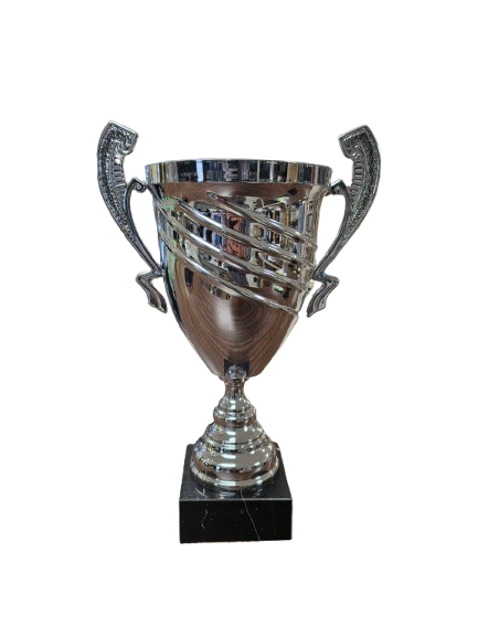 Stadium Silver Trophy Cup 16"