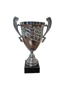 Stadium Silver Trophy Cup 16"