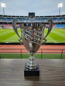 Stadium Silver Trophy Cup 16"