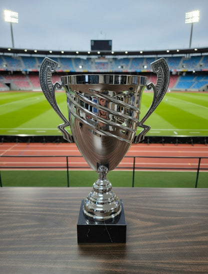 Stadium Silver Trophy Cup 16"