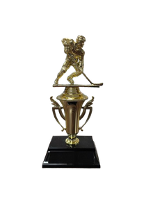 10" Dire Traditional Trophy