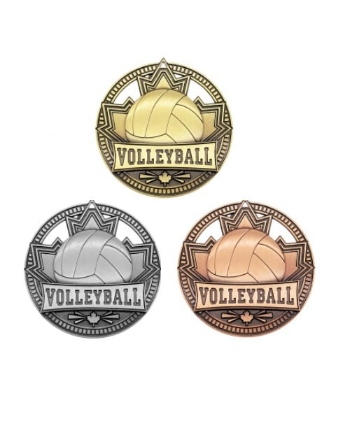 MSN517 Volleyball Patriot Series 2.75" image 0