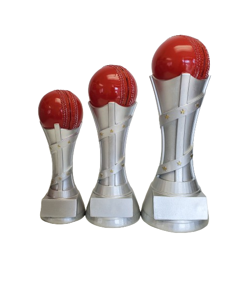 Victory Cricket Series resin image 0