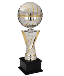 Achievement Basketball image 0