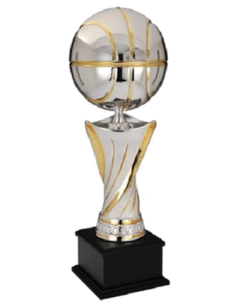 Achievement Basketball image 0
