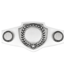 Championship Shield Belt image 1