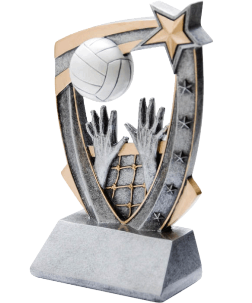 RST550, Star Volleyball 5.25" image 0