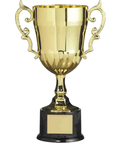Gold Plastic Cup image 0