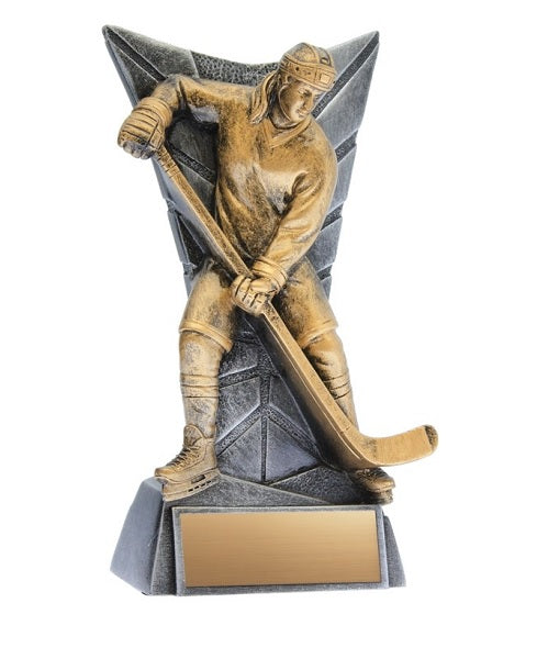 Delta Hockey (Male/Female) image 1