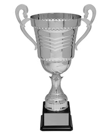 Ossington Trophy Cup image 1