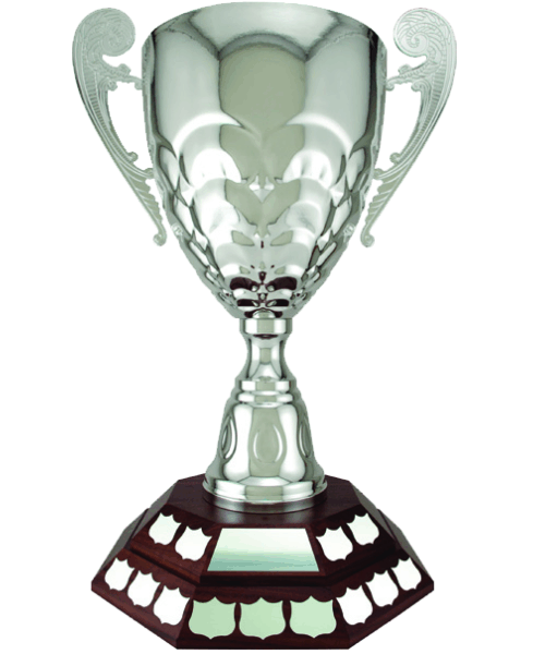 Octagon 2 Tier image 0