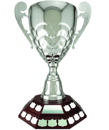 Octagon 2 Tier image 0