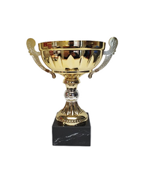 Crown Cup image 0