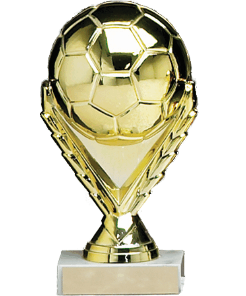 Large Soccer Ball image 0