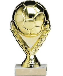 Large Soccer Ball image 0