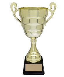 Dupont Trophy Cup image 0