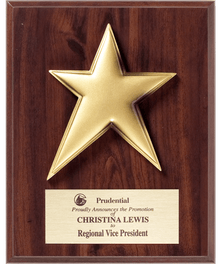 Gold Star Plaque image 0