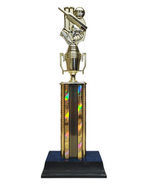 Wicked Cricket Trophy 17" image 0