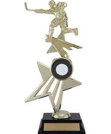 T18-66501, Star-Power Series Hockey 12.75" image 0