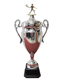 The Venture Trophy Cup 37" image 0