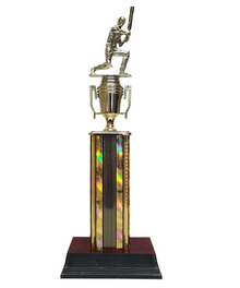 Castro Cricket Trophy 17" image 0