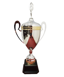 DTC101-A, 27" Trophy Cup image 0