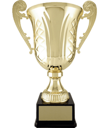 XL Cup image 0