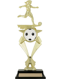 T18-65601, Ascent Series Soccer 12" image 0